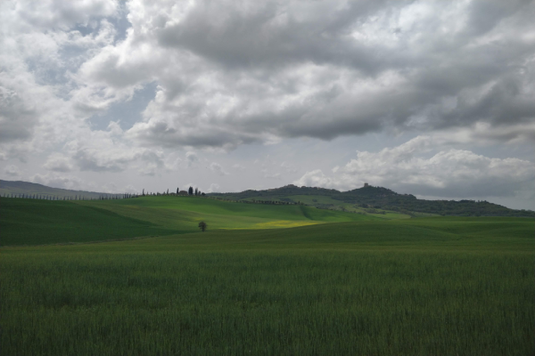 Toscane